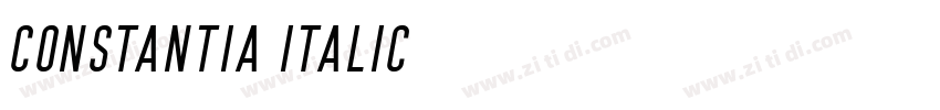 constantia italic字体转换